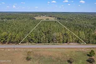 000 Hwy 162 (Tri County Road), Bonifay, FL 32425 - Photo 1