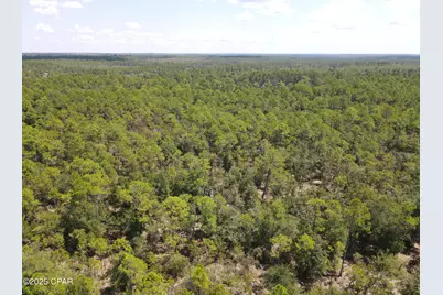 00 Sally Road, Chipley, FL 32428 - Photo 1