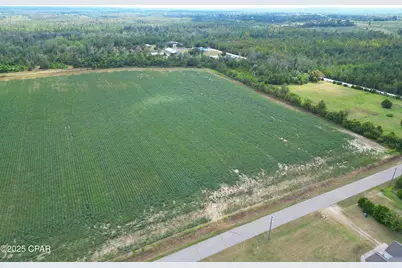 Tbd NW Ashley Shiver Road, Altha, FL 32421 - Photo 1
