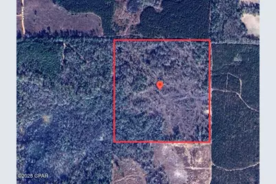 40 Acres Swan Lane, Campbellton, FL 32426 - Photo 1