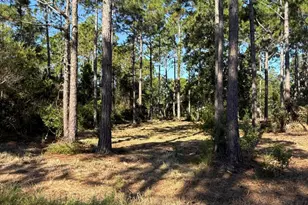 00 Central 6th St, Santa Rosa Beach, FL 32459 - Photo 1