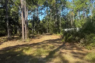 0 Central 6th St St, Santa Rosa Beach, FL 32459 - Photo 1