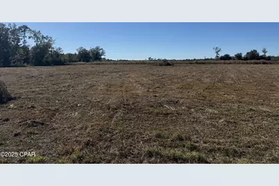 Lot 9 Hwy 71, Wewahitchka, FL 32465 - Photo 1