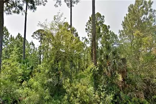 14 Cr 30-A, Port Saint Joe, FL 32456 - Photo 1