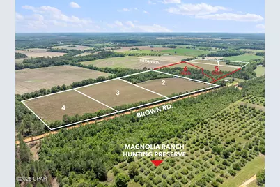 Tbd Brown Road #Lot 4, Defuniak Springs, FL 32433 - Photo 1