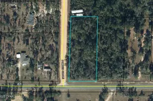 0 Pike Pond Rd, Alford, FL 32420 - Photo 1