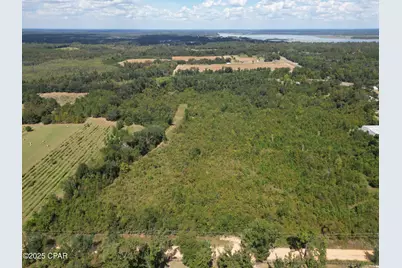 0000 Weddington Road, Sneads, FL 32460 - Photo 1