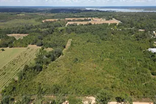 0000 Weddington Rd, Sneads, FL 32460 - Photo 1