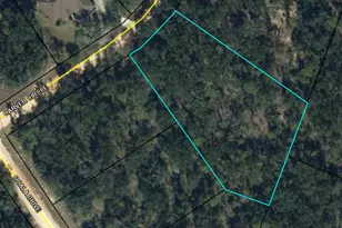 00 Carver Circle, Alford, FL 32420 - Photo 1