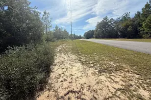 Xxx Shenandoah Blvd, Chipley, FL 32428 - Photo 1