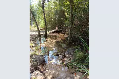 3555 Hibiscus Street, Marianna, FL 32448 - Photo 1