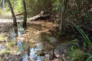 3555 Hibiscus St, Marianna, FL 32448 - Photo 1