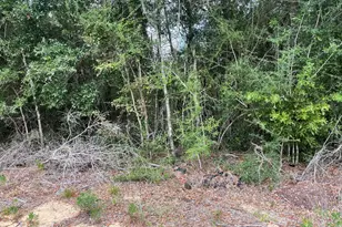 Lot 23 Geraldine Circle, Chipley, FL 32428 - Photo 1