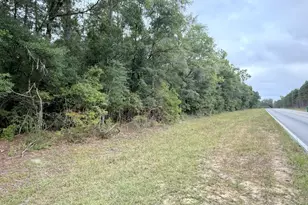 Xxx Shell Landing Rd, Vernon, FL 32462 - Photo 1