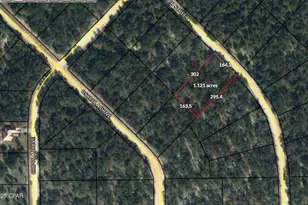 Lot 7 Summer St, Marianna, FL 32448 - Photo 1