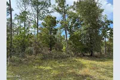 0000 Jefferson Avenue, Alford, FL 32420 - Photo 1