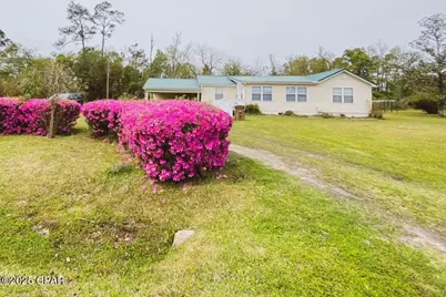 6641 Cedar Street, Wewahitchka, FL 32465 - Photo 1