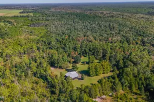 16540 NW County Road 379A, Bristol, FL 32321 - Photo 1