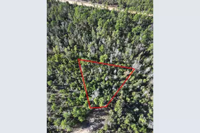 0 Pisgah Court, Alford, FL 32420 - Photo 1