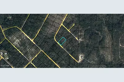 Lot 11 Aster Circle, Marianna, FL 32448 - Photo 1