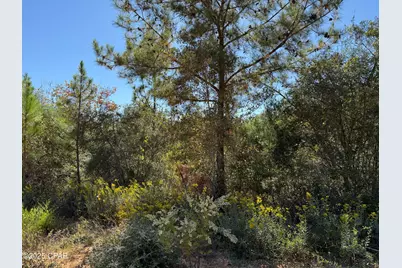 00 Mayflower Drive, Marianna, FL 32448 - Photo 1