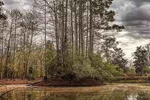 0000 Hwy 77, Chipley, FL 32428 - Photo 1