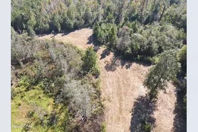 0 Brushey Pond Road, Grand Ridge, FL 32442 - Photo 1