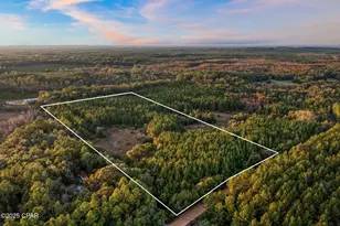 Xxx Fortune Pond Rd, Vernon, FL 32462 - Photo 1