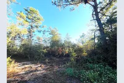 0000 Brushey Pond Road, Grand Ridge, FL 32442 - Photo 1