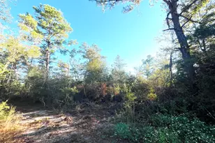 0000 Brushey Pond Rd, Grand Ridge, FL 32442 - Photo 1