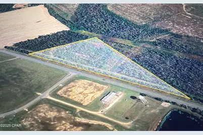 0000 N Sr 71, Altha, FL 32421 - Photo 1
