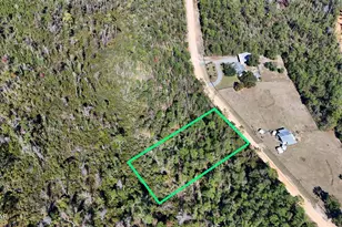 0 Monogahela Ave, Alford, FL 32420 - Photo 1