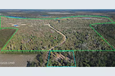 0 Parramore Road, Sneads, FL 32460 - Photo 1