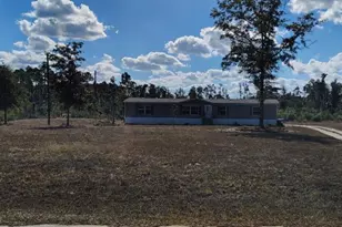 22884 NW Lake McKinzie Blvd, Altha, FL 32421 - Photo 1