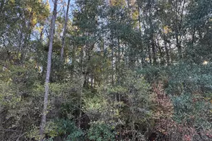 0000 County Road 160, Bonifay, FL 32425 - Photo 1