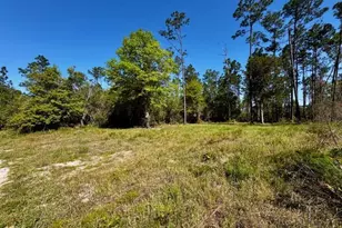 Tbd Akers Trail, Chipley, FL 32428 - Photo 1