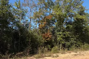 0 Southern Blvd, Alford, FL 32420 - Photo 1