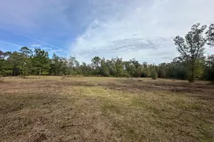 2194 Mohawk Trail, Sneads, FL 32460 - Photo 1