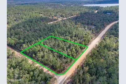 0 Baker Avenue, Alford, FL 32420 - Photo 1