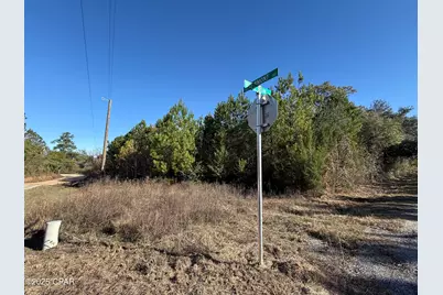 00 Bull Run Lane, Marianna, FL 32446 - Photo 1