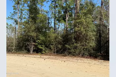 001 Anderson Drive, Alford, FL 32420 - Photo 1