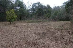 1724 Hwy 173, Bonifay, FL 32425 - Photo 1