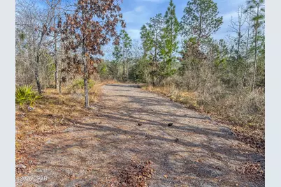 4343 NW Twin Ponds Road, Altha, FL 32421 - Photo 1