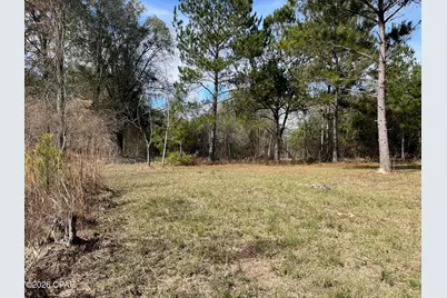 00 Welcome Church Rd, Sneads, FL 32460 - Photo 1