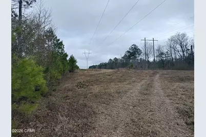 0 Dunn Road, Chattahoochee, FL 32324 - Photo 1