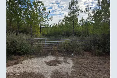 Xxx NW Church Road, Altha, FL 32421 - Photo 1