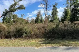00 Magnolia Blossom Ln, Marianna, FL 32446 - Photo 1