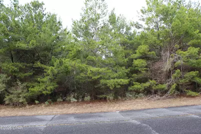 Lot 1 Cloverleaf Court, Chipley, FL 32428 - Photo 1
