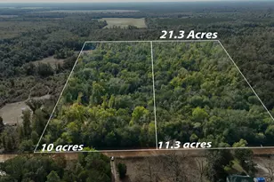 Lot 1 Oscar Rd, Greenwood, FL 32443 - Photo 1