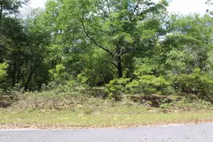 Lot 6 Arnone Ln, Chipley, FL 32428 - Photo 1